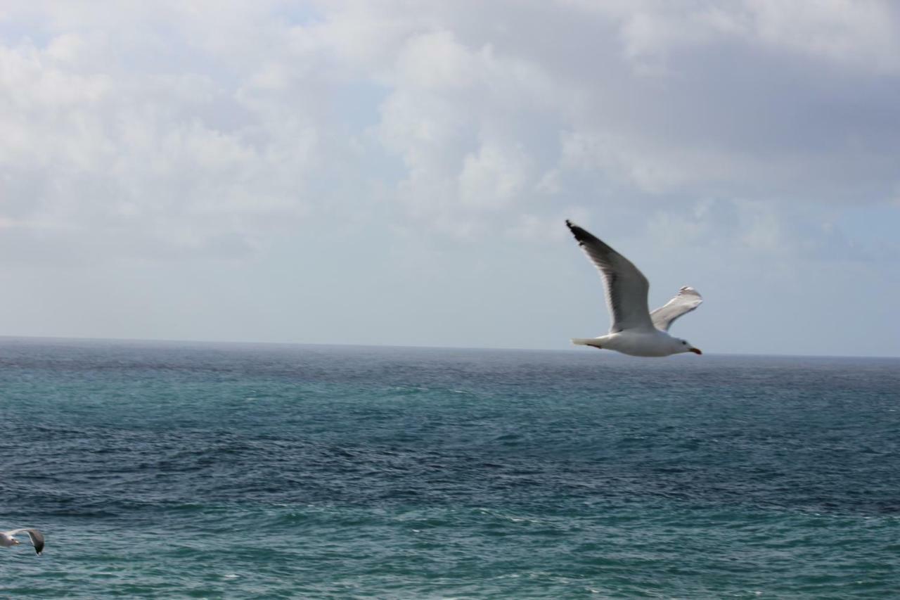 טקורונטה Acogedor Apartamento Con Vista Al Mar מראה חיצוני תמונה